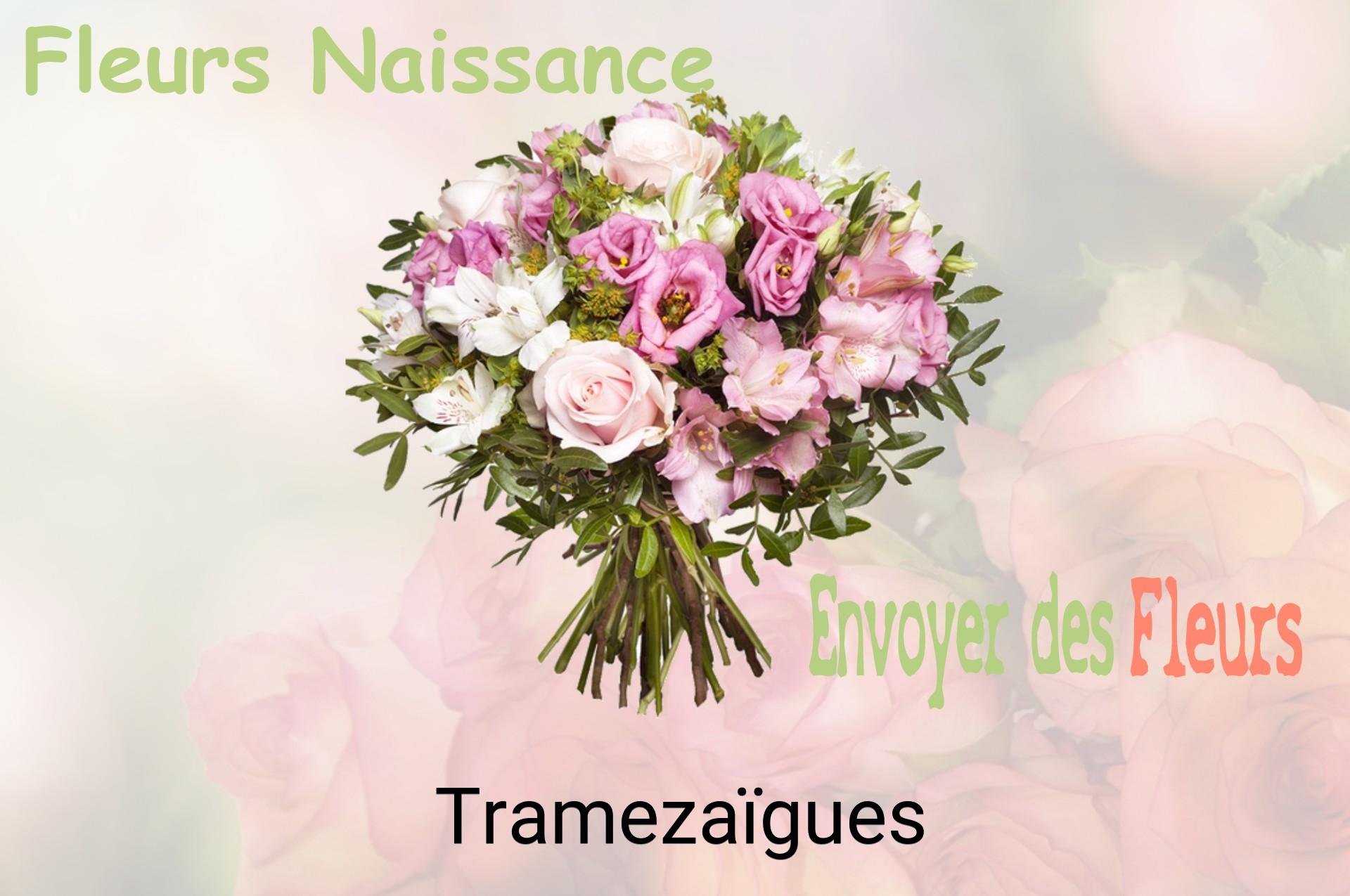Bouquet de fleurs de naissance livré à Tramezaïgues