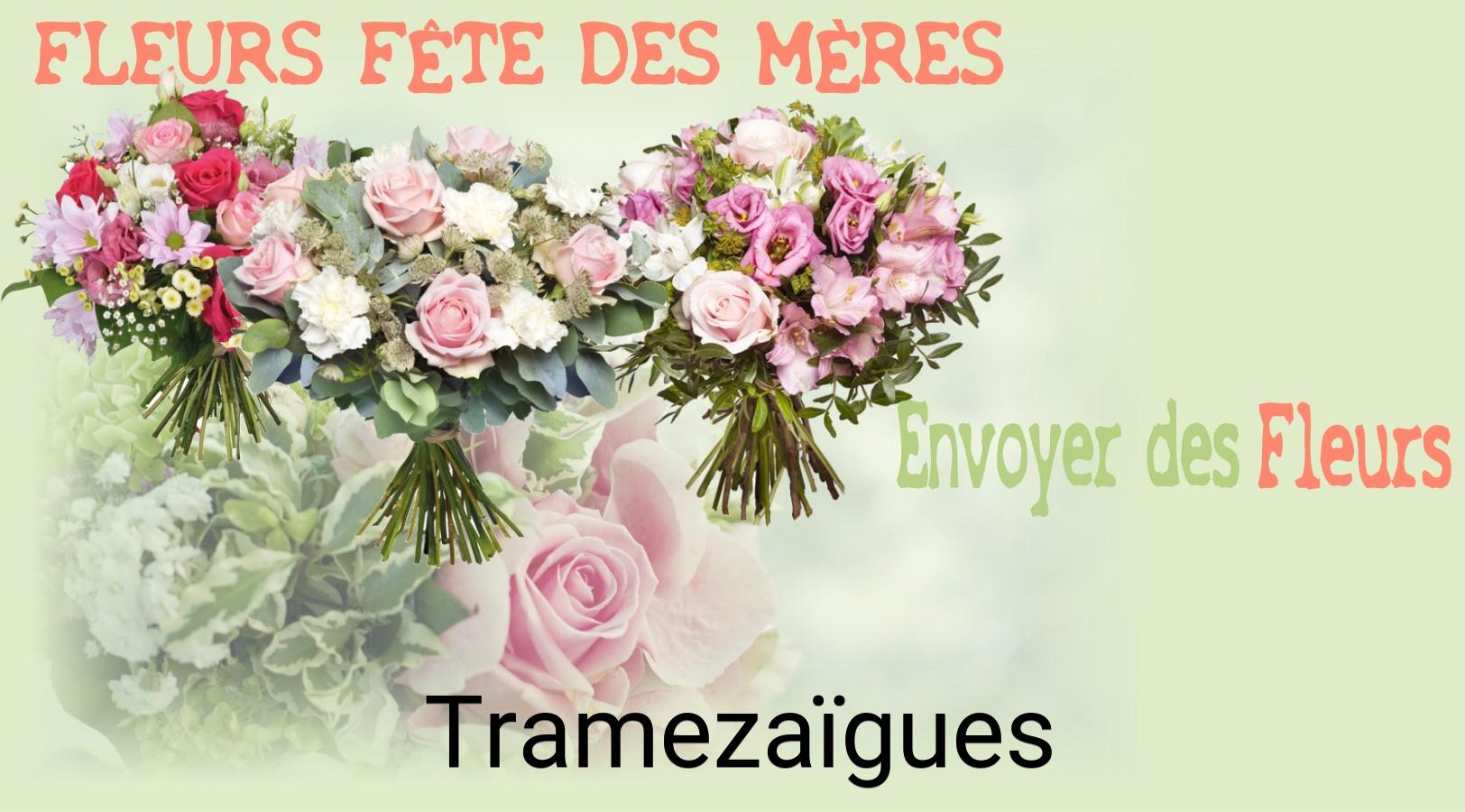 Bouquet de Fête des Mères livré à Tramezaïgues